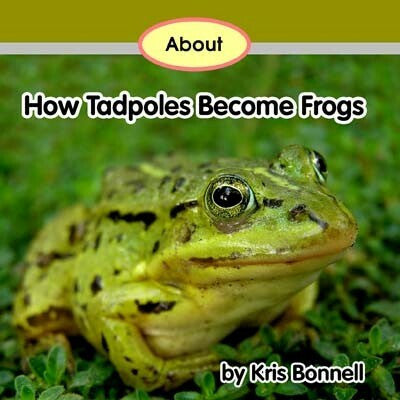 About_How_Tadpoles_Become_Frogs__28030.1471581281.500.659.jpg