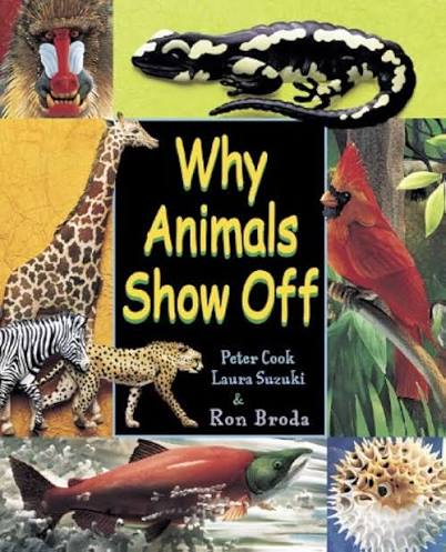 Why Animals Show Off SCHOLASTIC 9780439988612