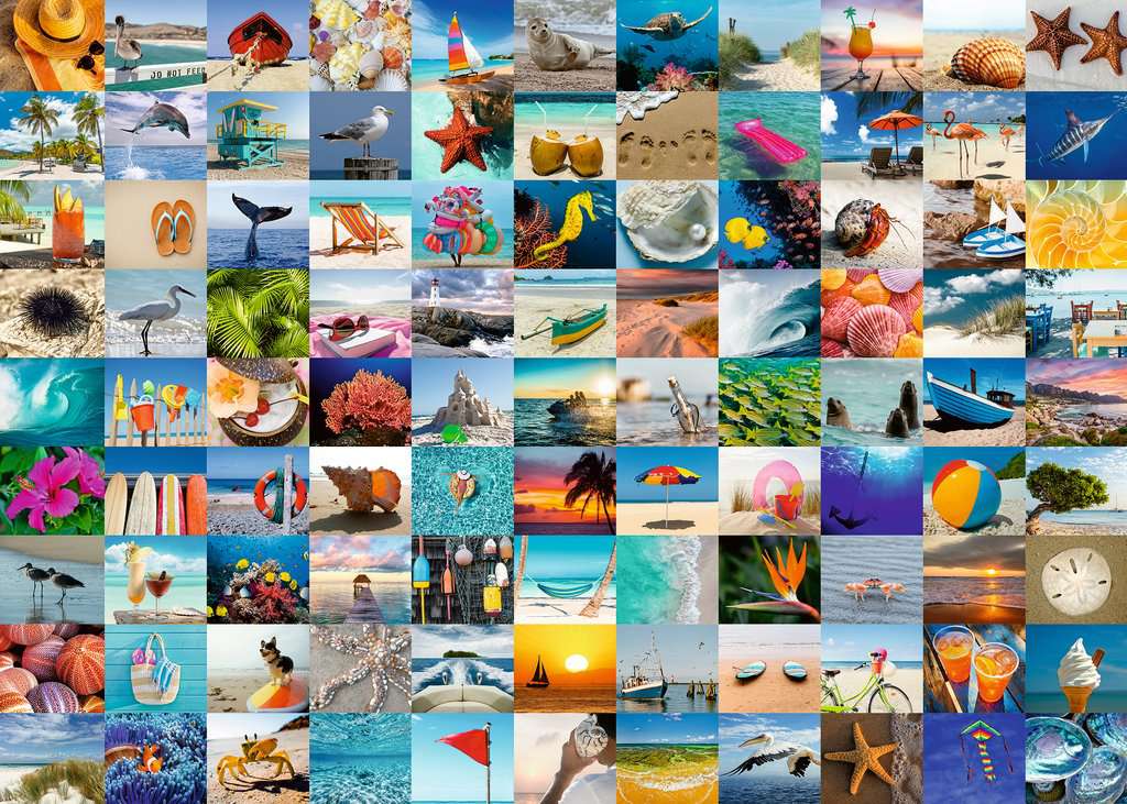99 moments en mer Ravensburger 801725 Casse-tête 1000 morceaux